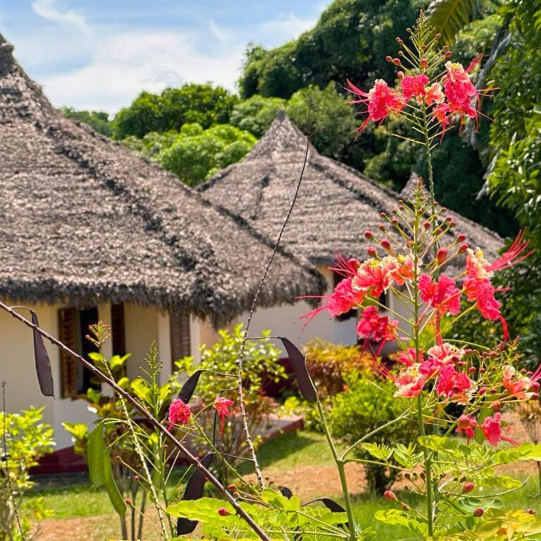 Wings Hotels Nosy-Be Exterior foto